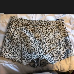 Express shorts